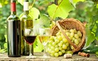Широкий ассортимент безалкогольных вин на сайте kstati.su 